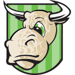 bull-logo